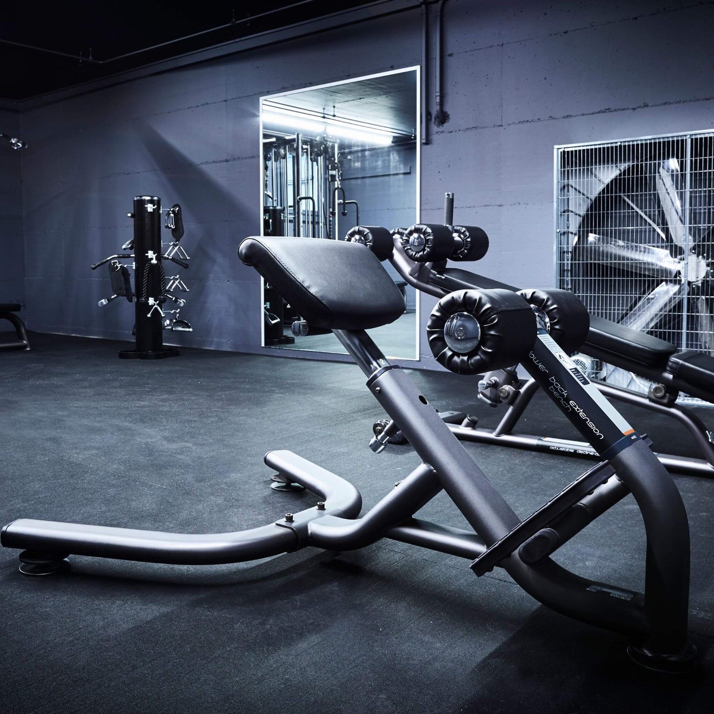 Pulse Fitness - Lower Back Extension Bench (Club Line)