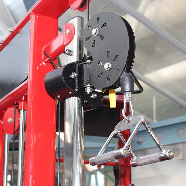 Gym Gear - Spartan Studio Rig